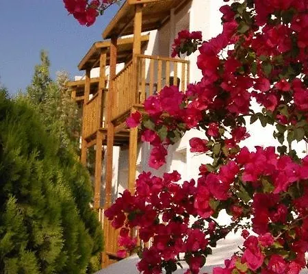 Medisun Otel 3*